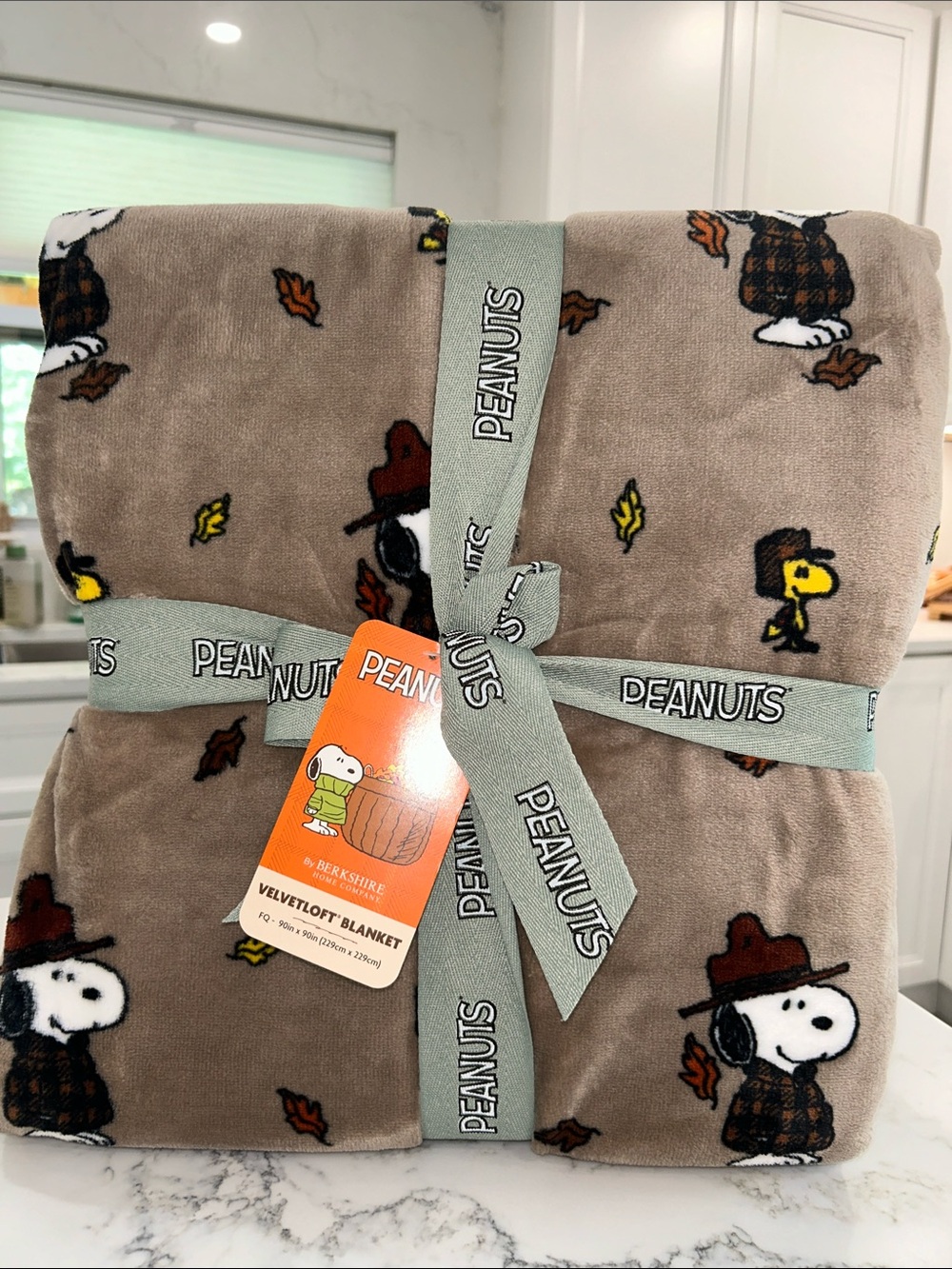 Berkshire Peanuts Snoopy & Woodstock Cozy Brown VelvetLoft Blanket 90”x90”
